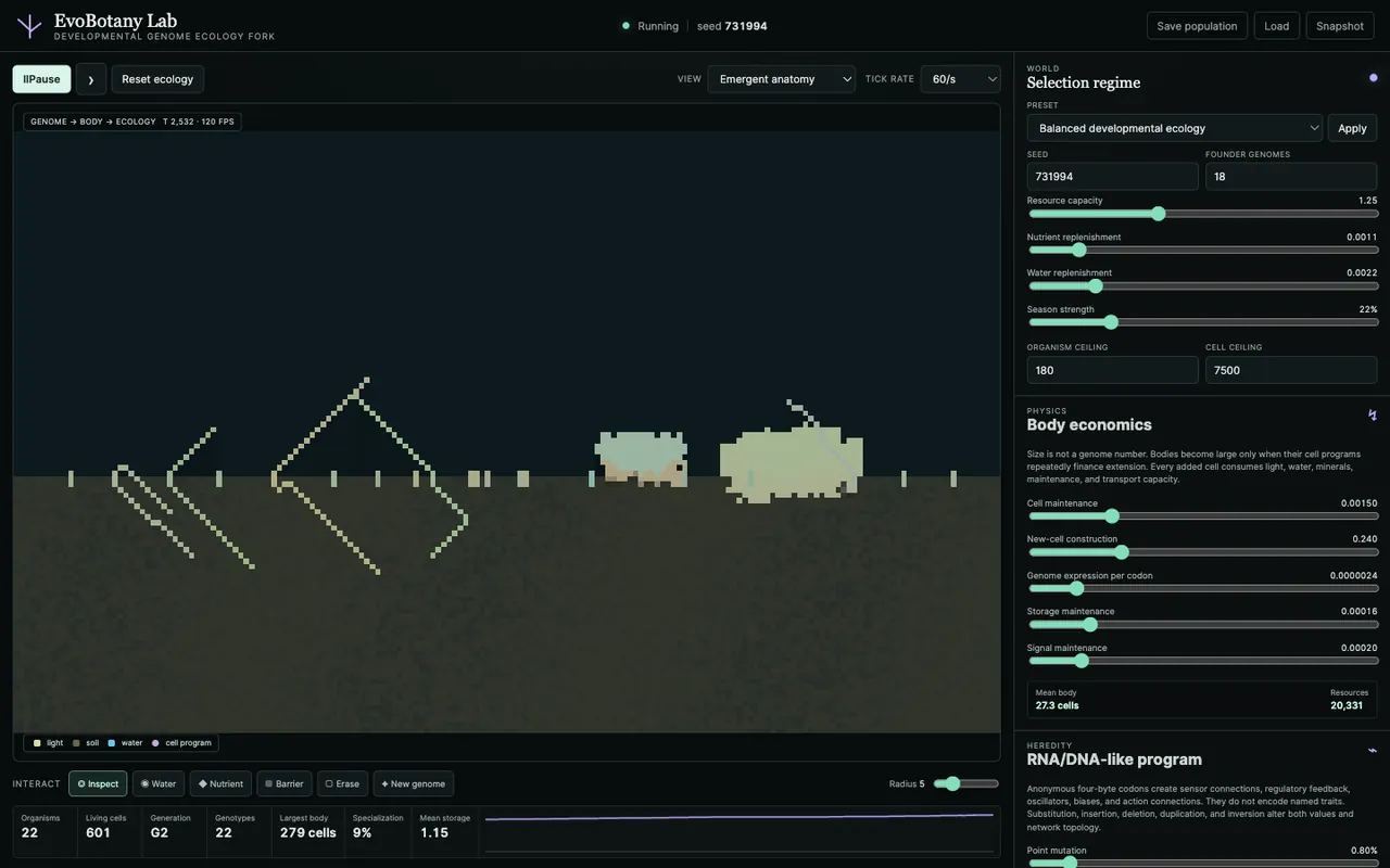 EvoBotany Lab simulation showing generated plant-like organisms, ecology metrics, selection settings, and body economics.